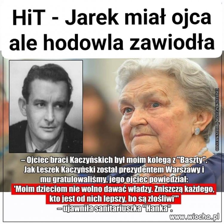 Z hodowli, ale bez rodowodu...