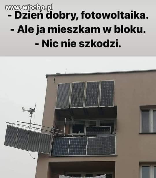 Polak potrafi 