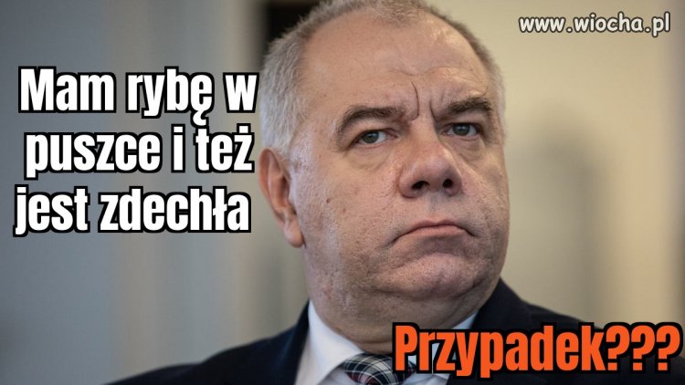 Gdy wiesz że od kopertowych jesteś na celowniku...