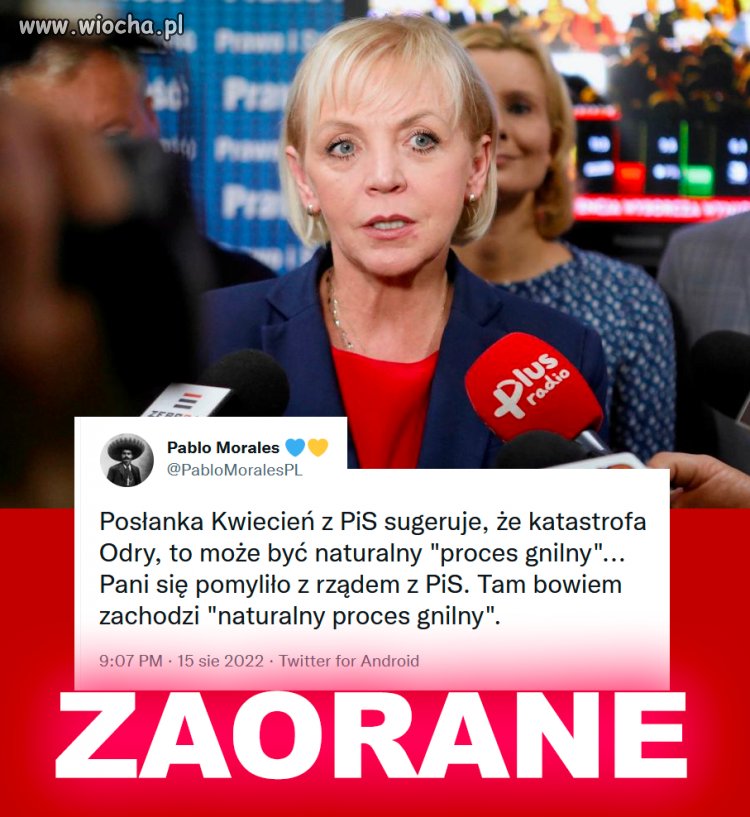  konkurs na najbardziej bzdurne tłumaczenie. Nagroda: dobre miejsce na liście wyborczej