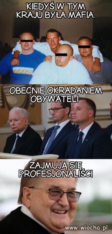 Amatorzy kontra 