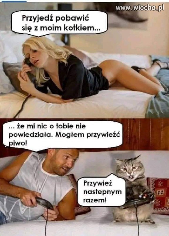 Pobaw się moim kotkiem 