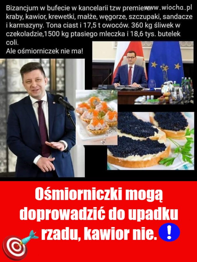 Ośmiorniczek nie ma bo pisowska ośmiornica je zeżarła.   