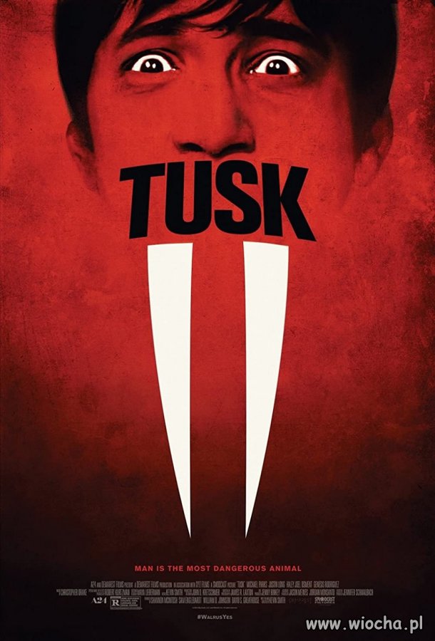 PIS nakręcił film o Tusku?