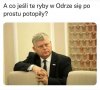 I wszystko jasne!
