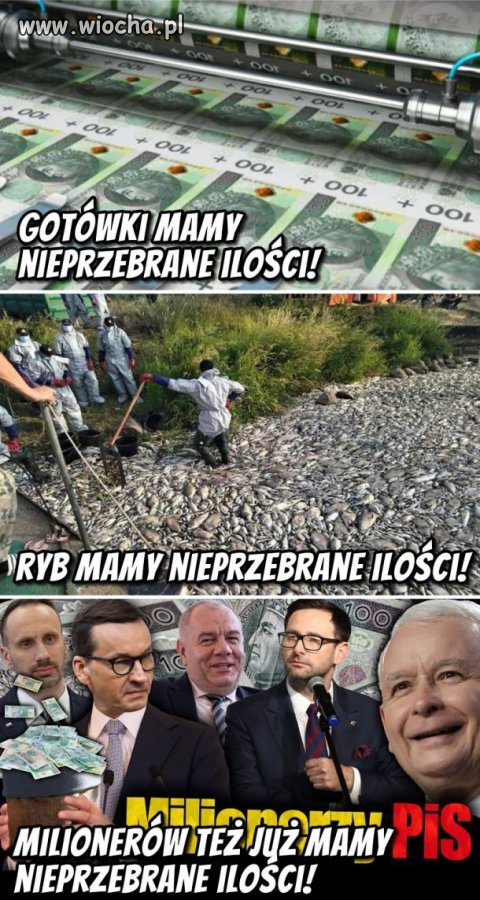 Nieprzebrane ilości 