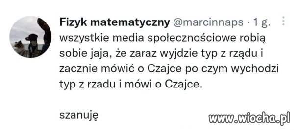 Czajka