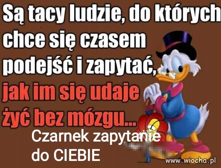 Każdy chyba zna kogoś takiego 