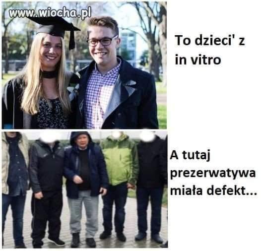 In vitro
