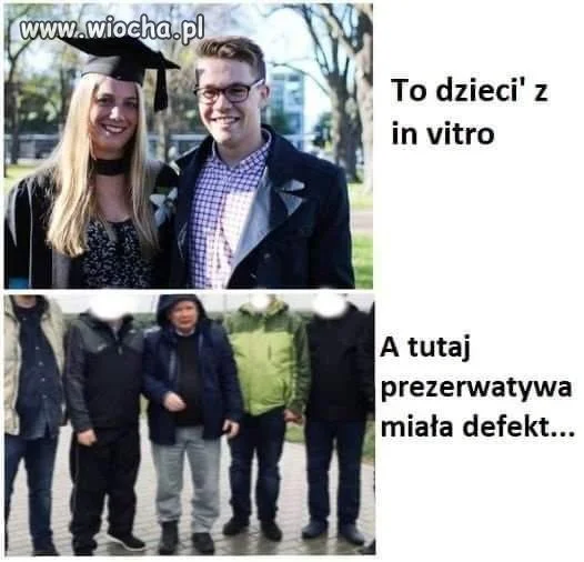 In vitro