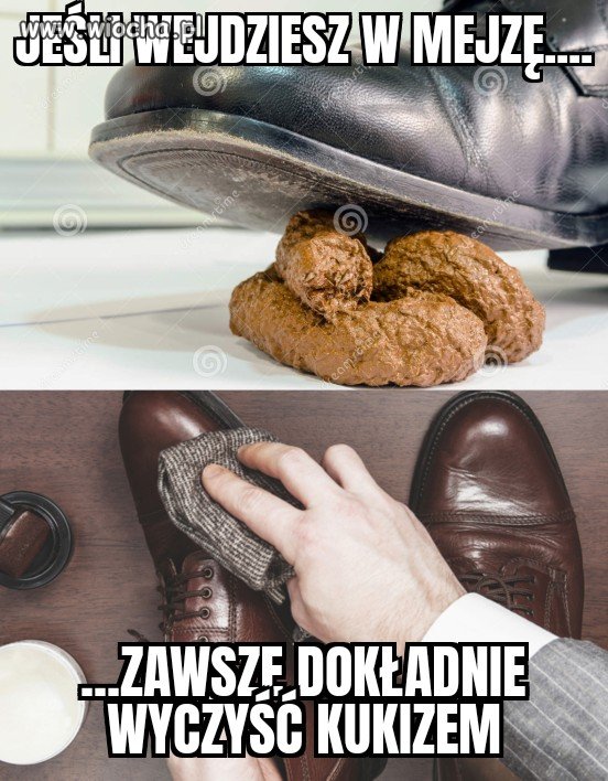 Nowe polskie przysłowia