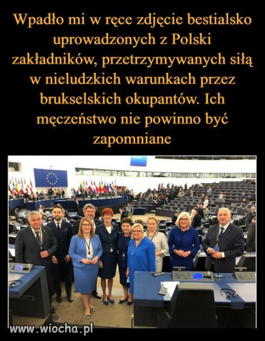 Co oni tam właściwie robią?