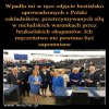 Co oni tam właściwie robią?