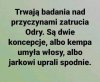 Dwie opcje... 