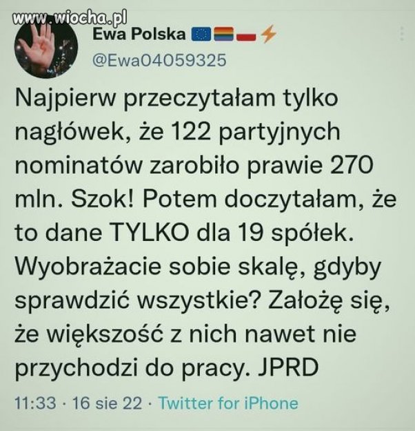 Pisowska mafia