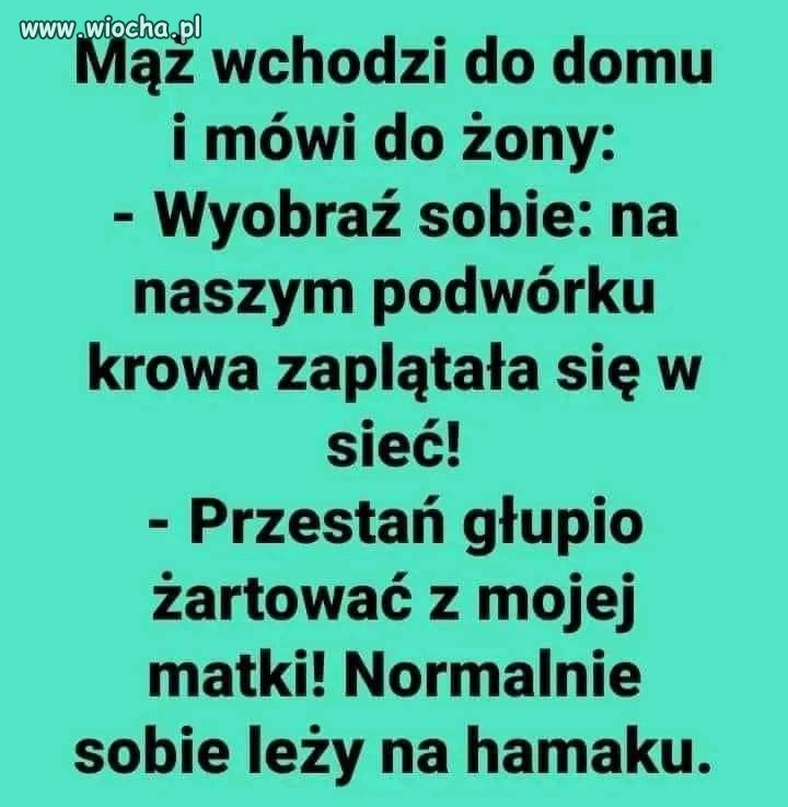 Mamusia z wizytą 