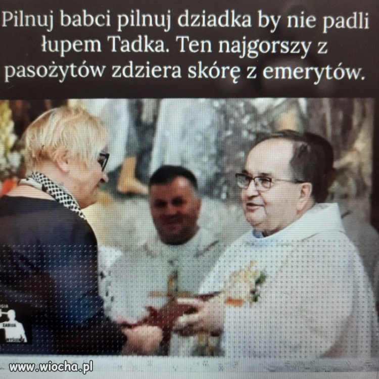 Pilnuj dziadków 