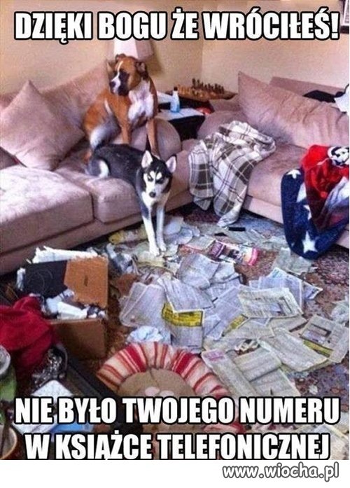 Nasi pupile