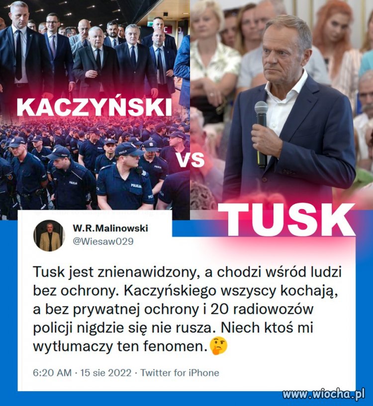 Fenomen