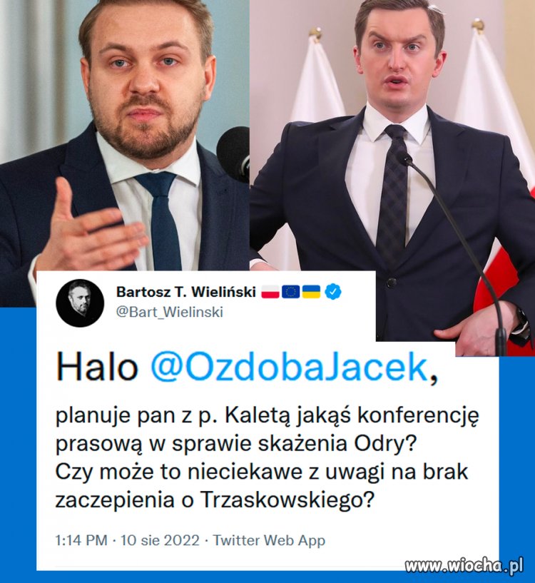 Debile pisowscy zaorani pięknie 