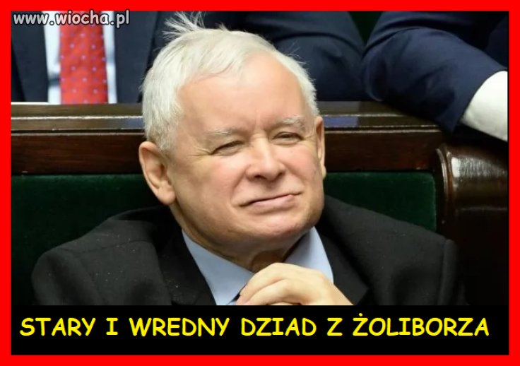 Zgryźliwy tetryk