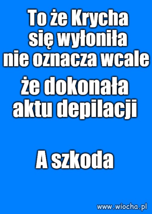 Buldożka Tadeusza
