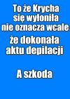 Buldożka Tadeusza
