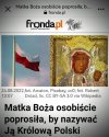 Fronda i wszystko jasne