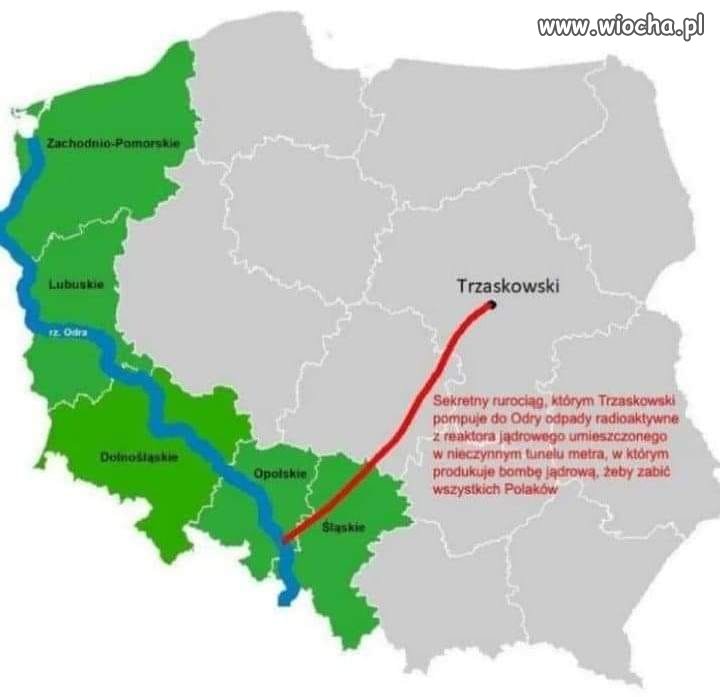Wyjaśniono kto zatruł Odrę 