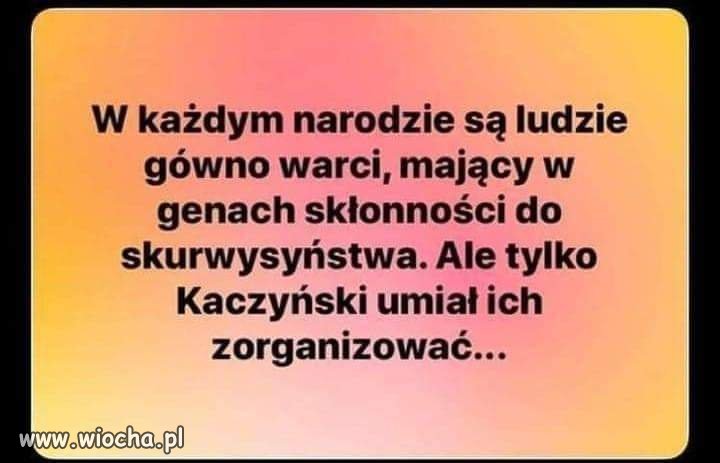 Opis