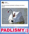 Misja Miłosza
