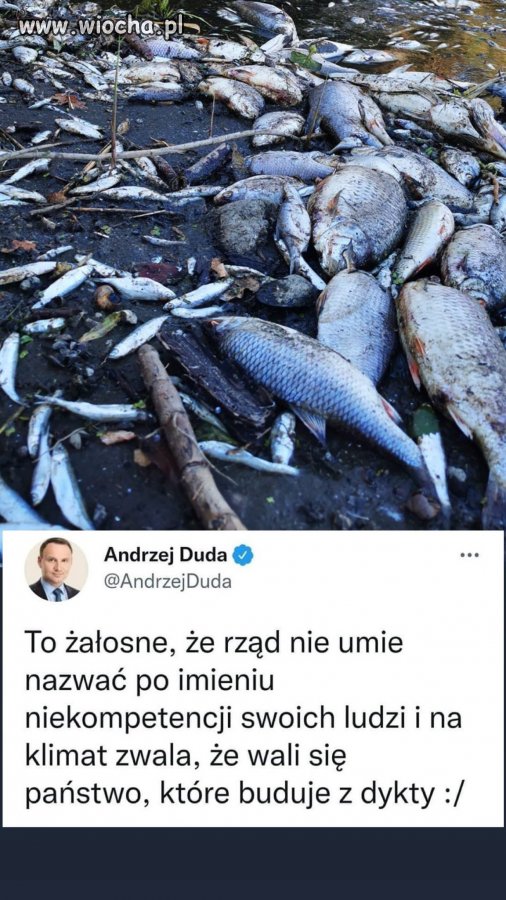 Skąd on to wiedział w 2014?
