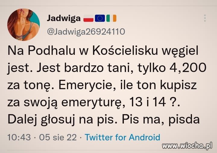 Pisiory zatęsknią za ciepłą wodę w kranie