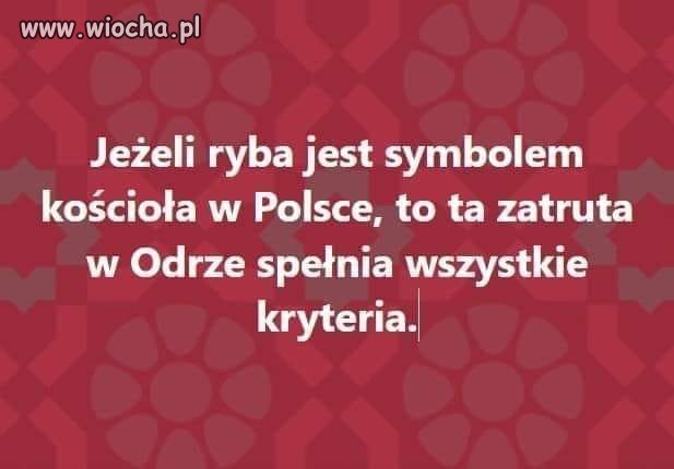 Coś w tym jest