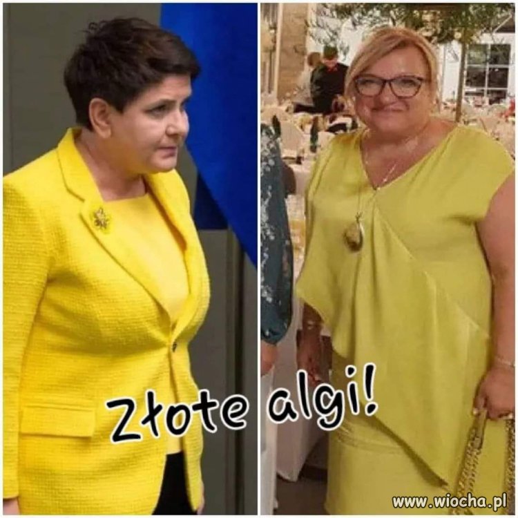 Wyjaśniło się co zatruło Odrę.