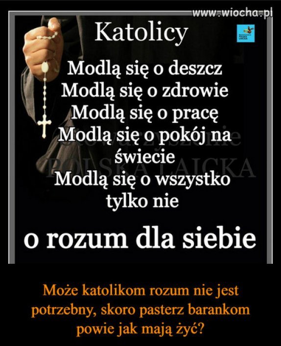 Będąc katolikiem, można żyć bez rozumu...