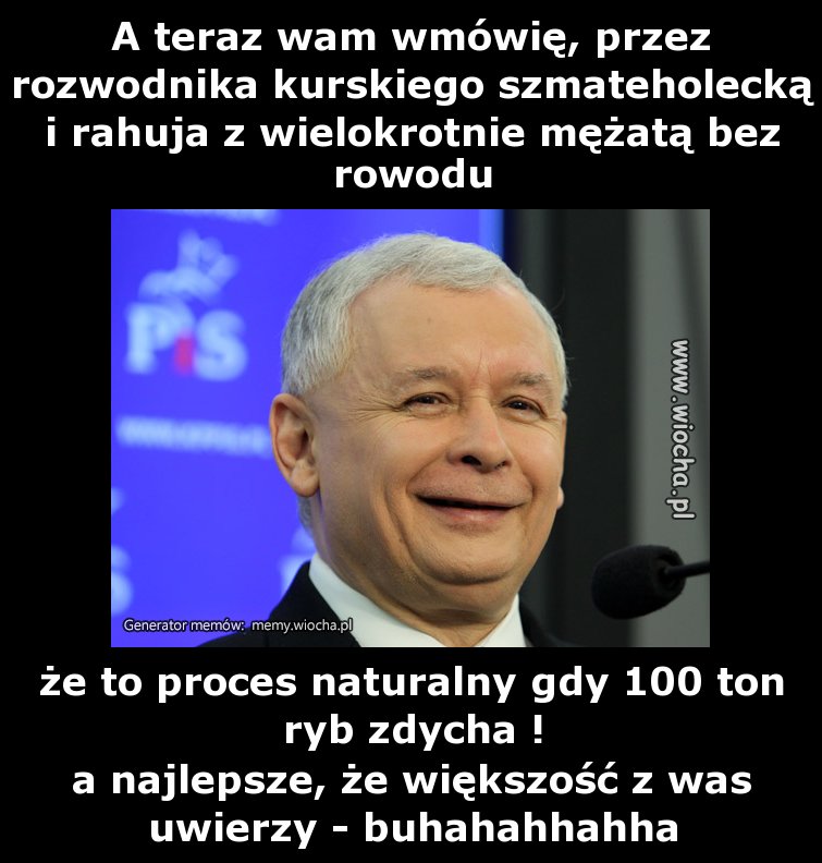 A teraz wam wmówię, przez rozwodnika kurskiego