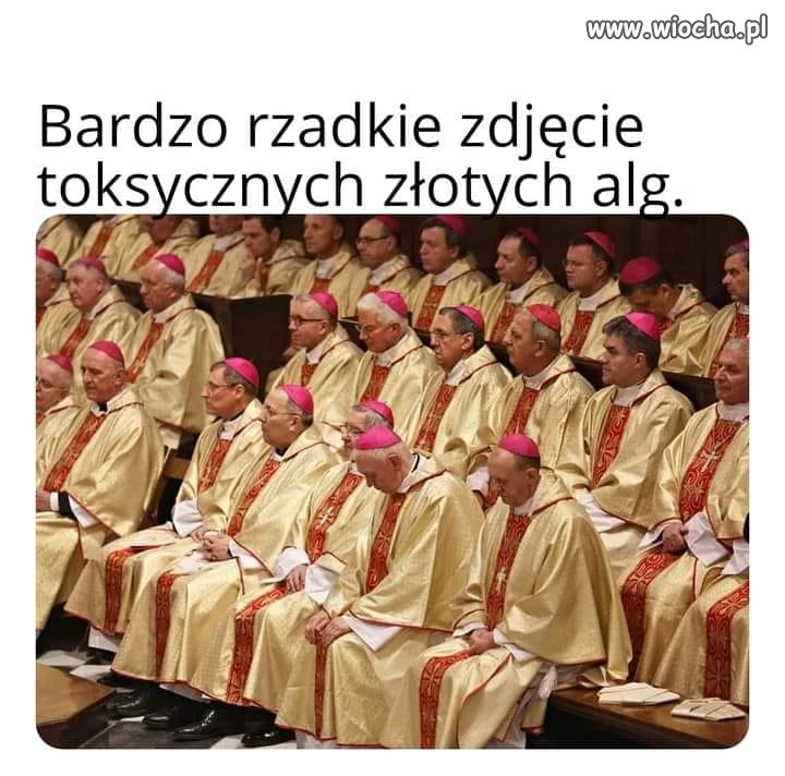 Największa zaraza i plaga zarazem