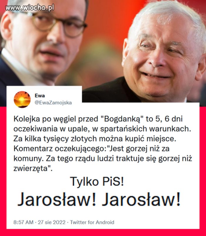 Totalna porażka