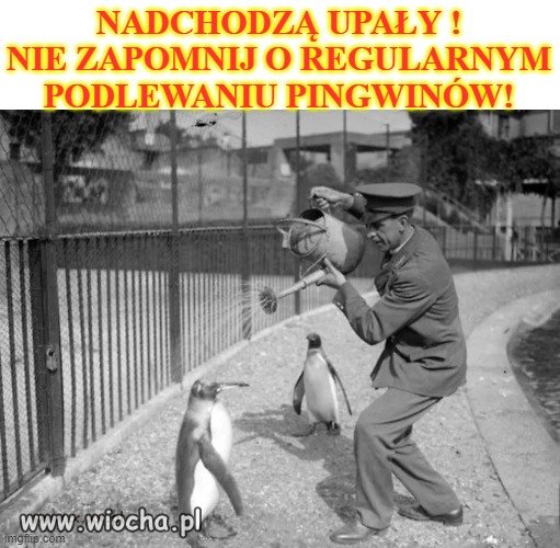 Nadchodzą upały!