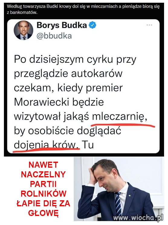 To gdzie te krowy się doi?