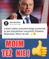 WSZYSTKICH  PiS-lamistów 