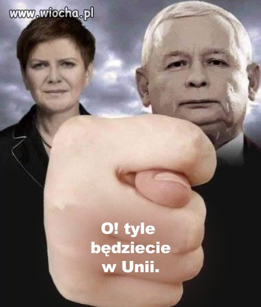 Figa z makiem