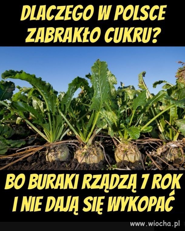 W końcu się wyjaśniło
