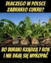 W końcu się wyjaśniło