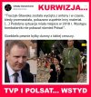 Wstyd i żenada
