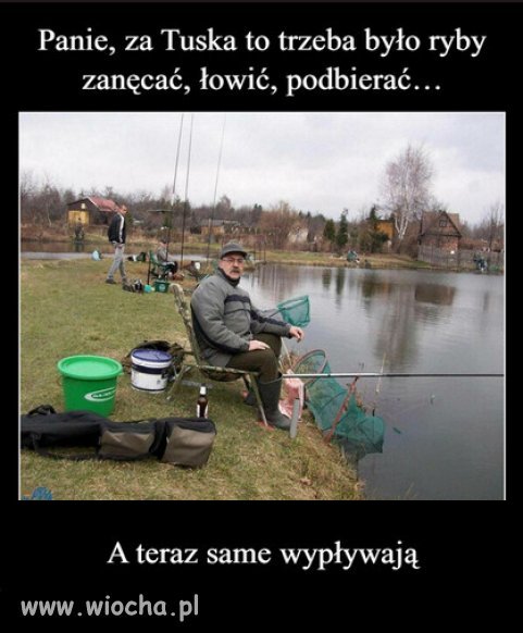I to jest wlasnie sukces PiSu...