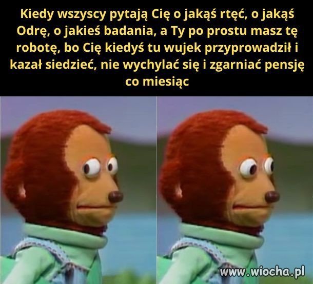 Pisowska rzeczywistość