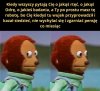 Pisowska rzeczywistość