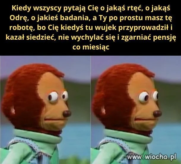 Pisowska rzeczywistość